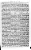 Church & State Gazette (London) Friday 03 January 1851 Page 11