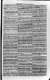 Church & State Gazette (London) Friday 02 January 1852 Page 5