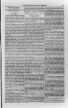 Church & State Gazette (London) Friday 14 October 1853 Page 11