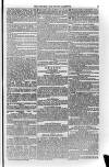 Church & State Gazette (London) Friday 05 January 1855 Page 15