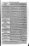 Church & State Gazette (London) Friday 23 February 1855 Page 5