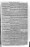 Church & State Gazette (London) Friday 23 March 1855 Page 11