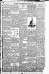 Morning Leader Friday 29 December 1893 Page 5