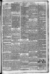 Morning Leader Saturday 01 September 1894 Page 3