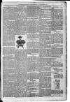 Morning Leader Saturday 29 September 1894 Page 3