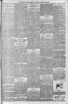 Morning Leader Thursday 15 November 1894 Page 3