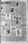 Morning Leader Monday 19 November 1894 Page 3
