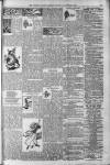 Morning Leader Monday 19 November 1894 Page 15