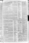 Morning Leader Friday 21 August 1896 Page 11