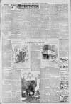 Morning Leader Friday 08 February 1901 Page 7