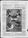 Lady of the House Saturday 14 May 1892 Page 7