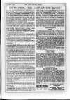 Lady of the House Saturday 15 April 1899 Page 19