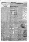 Epsom Journal Tuesday 15 October 1872 Page 3