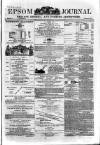 Epsom Journal Tuesday 22 April 1873 Page 1