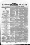 Epsom Journal Tuesday 22 June 1875 Page 1