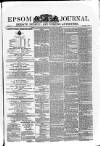 Epsom Journal Tuesday 29 June 1875 Page 1