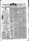 Epsom Journal Tuesday 14 December 1875 Page 1