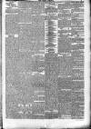 Epsom Journal Tuesday 04 January 1876 Page 3