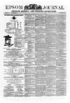 Epsom Journal Tuesday 09 May 1876 Page 1