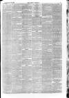 Epsom Journal Tuesday 19 February 1878 Page 3