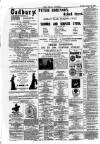 Epsom Journal Tuesday 10 August 1880 Page 4
