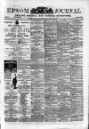 Epsom Journal Tuesday 10 April 1883 Page 1