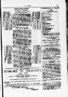 Y Dydd Friday 19 January 1877 Page 13