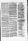 Y Dydd Friday 09 February 1877 Page 5