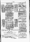 Y Dydd Friday 16 February 1877 Page 13