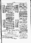 Y Dydd Friday 23 February 1877 Page 13
