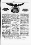 Y Dydd Friday 08 June 1877 Page 13