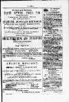 Y Dydd Friday 22 June 1877 Page 15