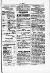 Y Dydd Friday 06 July 1877 Page 13