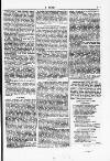 Y Dydd Friday 10 August 1877 Page 5