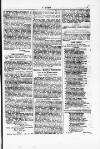 Y Dydd Friday 17 August 1877 Page 7