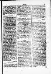 Y Dydd Friday 24 August 1877 Page 11