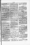Y Dydd Friday 31 August 1877 Page 5
