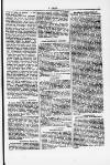 Y Dydd Friday 12 October 1877 Page 5