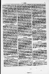 Y Dydd Friday 14 December 1877 Page 7