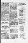 Y Dydd Friday 21 December 1877 Page 5
