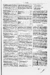 Y Dydd Friday 04 January 1878 Page 7