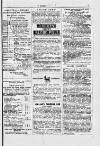 Y Dydd Friday 11 January 1878 Page 15