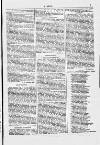 Y Dydd Friday 15 February 1878 Page 7