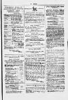 Y Dydd Friday 15 November 1878 Page 13