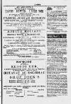 Y Dydd Friday 15 November 1878 Page 15