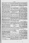 Y Dydd Friday 22 November 1878 Page 5