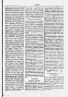 Y Dydd Friday 20 December 1878 Page 5