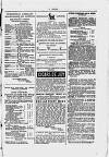 Y Dydd Friday 07 February 1879 Page 13