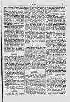 Y Dydd Friday 21 March 1879 Page 7
