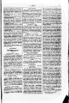 Y Dydd Friday 08 December 1882 Page 5